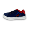 Basic Canvass Low Superman